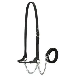 Weaver Livestock Single Buckle Halter M