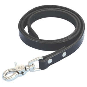 Sullivan's Leather Nose Lead